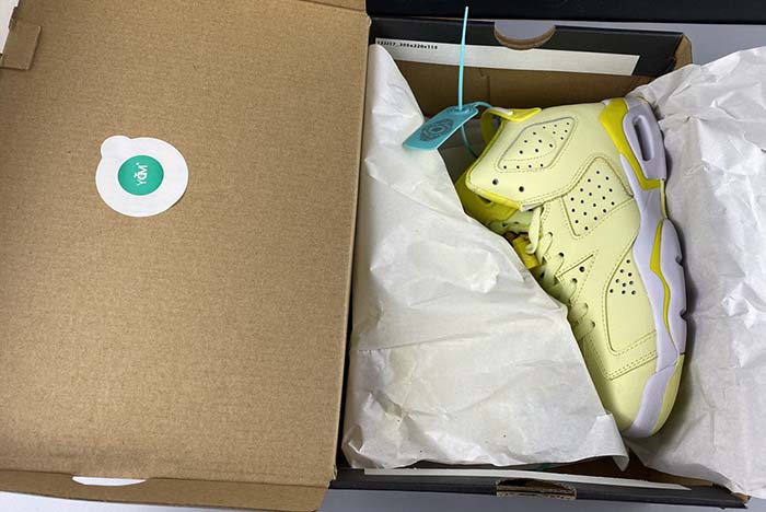 Air Jordan 6 GS “Floral”