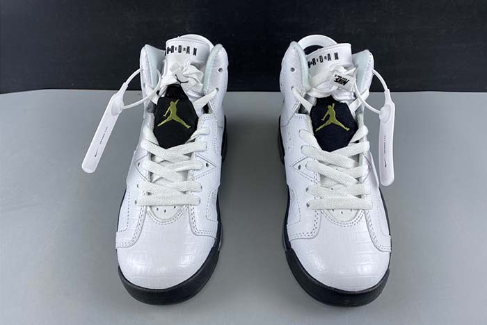 Air Jordan 6 GS a  384665-110