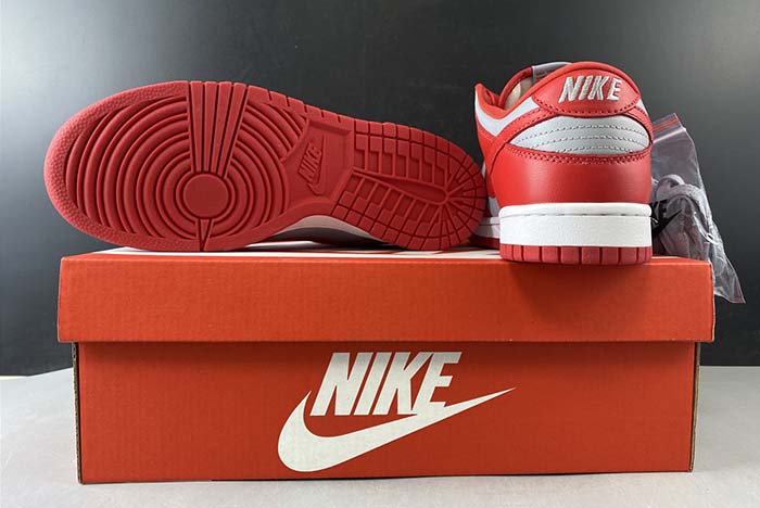 Nike Dunk Low SB  CU1726-600
