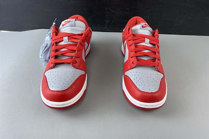 Nike Dunk Low SB  CU1726-600