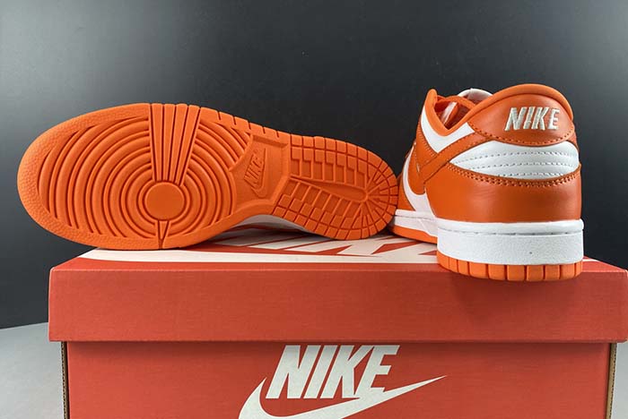 Nike Dunk Low SP CU1726-101