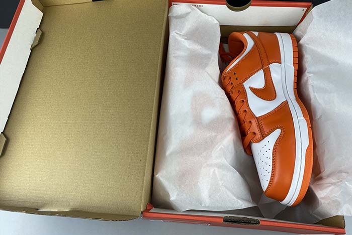 Nike Dunk Low SP CU1726-101