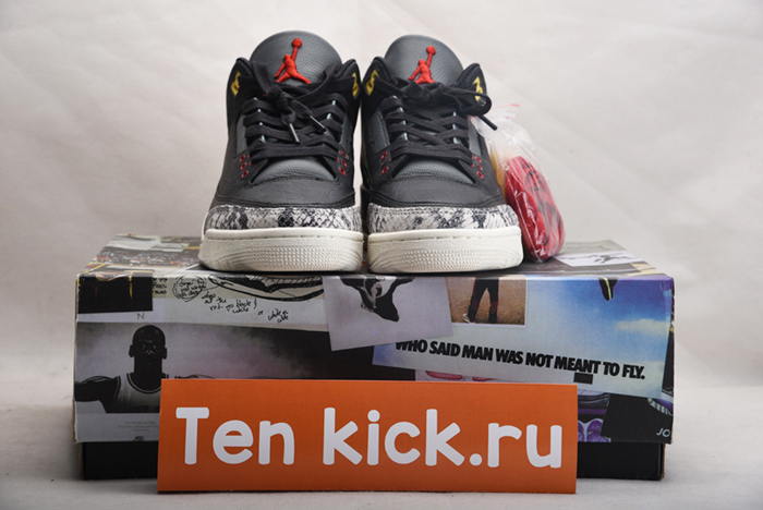 Air Jordan 3 SE “Animal Instinct 2.0” CV3583-003