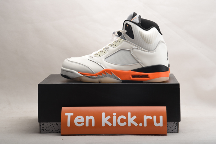 Jordan 5 Retro DC1060-100