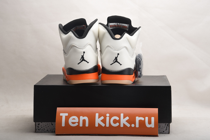 Jordan 5 Retro DC1060-100