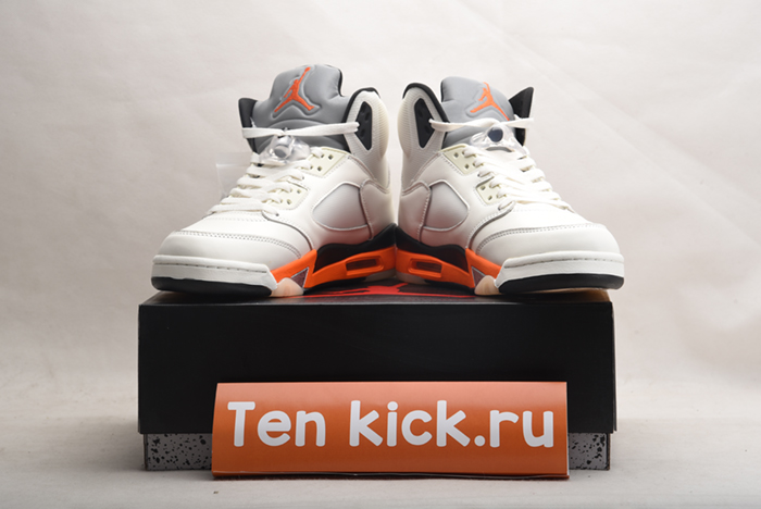 Jordan 5 Retro DC1060-100