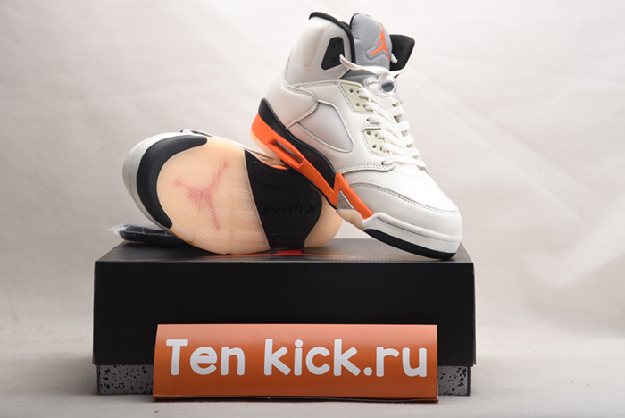 Jordan 5 Retro DC1060-100