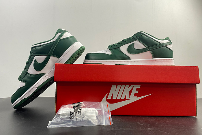 Nike Dunk Low Michigan State DD1391-101