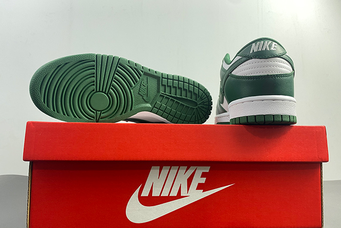 Nike Dunk Low Michigan State DD1391-101