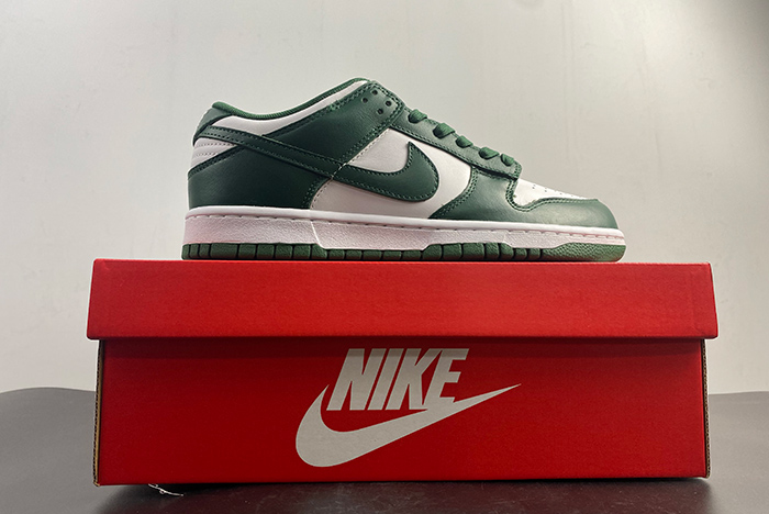 Nike Dunk Low Michigan State DD1391-101