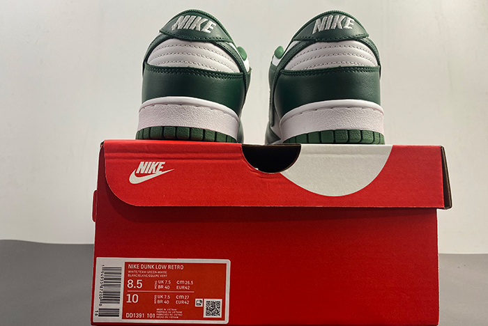 Nike Dunk Low Michigan State DD1391-101