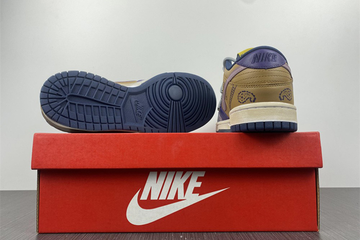 Nike Dunk Low RETRO dd1391-700