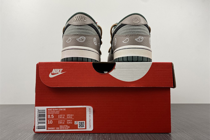 Nike Dunk Low RETRO DH0957-100