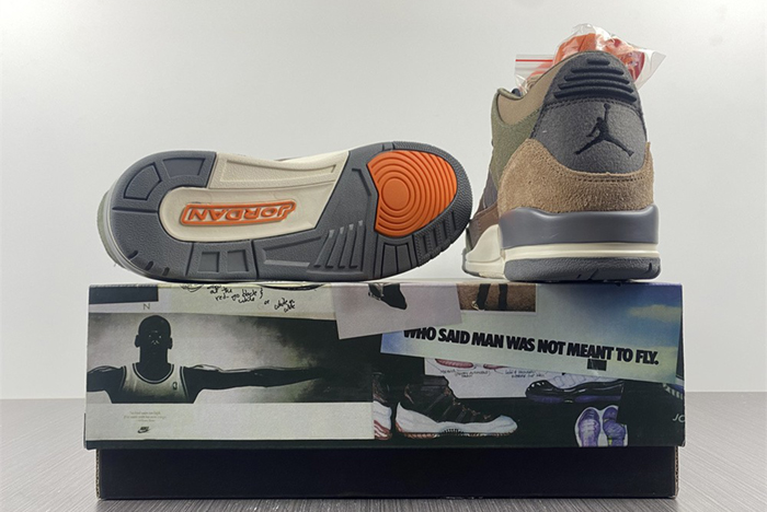 AIR JORDAN AJ7 TOPAZ MIST 442960-104