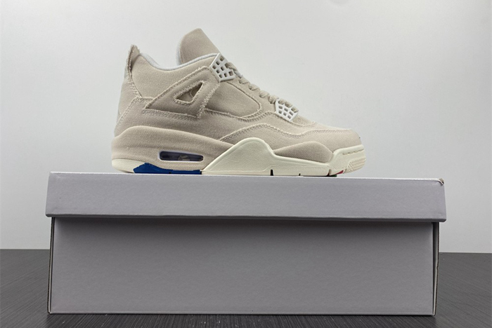 Air Jordan4 WMNS DQ4909-100
