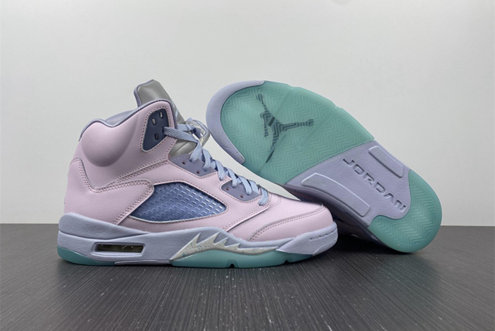 Air Jordan 5  DV0562-600