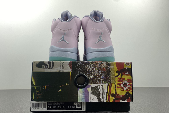 Air Jordan 5  DV0562-600