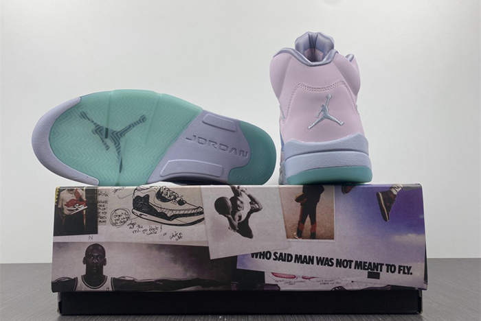 Air Jordan 5  DV0562-600