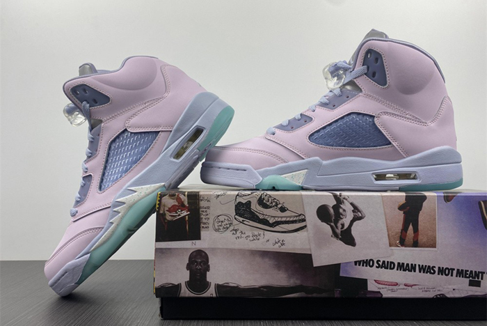 Air Jordan 5  DV0562-600