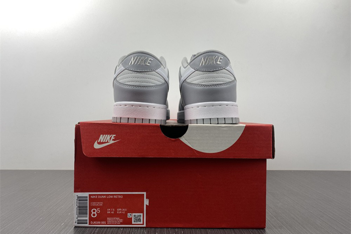 Nike Dunk Low DJ6188-001