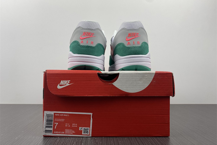 Nike Air Max Anniversary Watermelon  AH8145-106