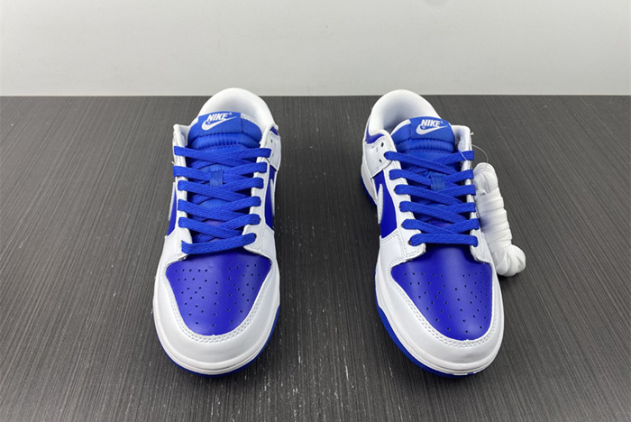 Nike Dunk Low  DD1391-401