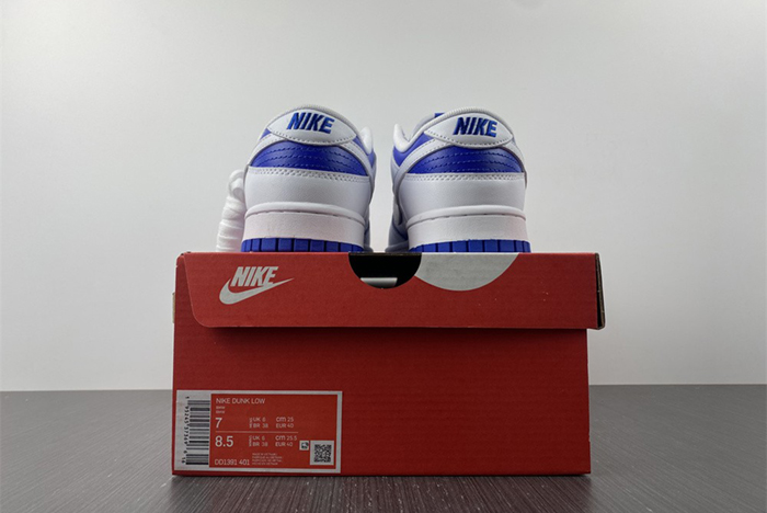 Nike Dunk Low  DD1391-401