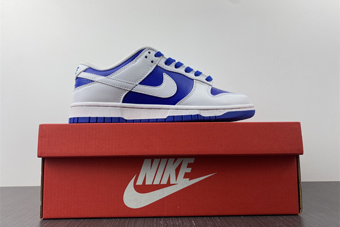 Nike Dunk Low  DD1391-401
