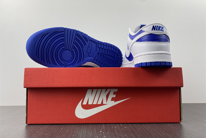 Nike Dunk Low  DD1391-401