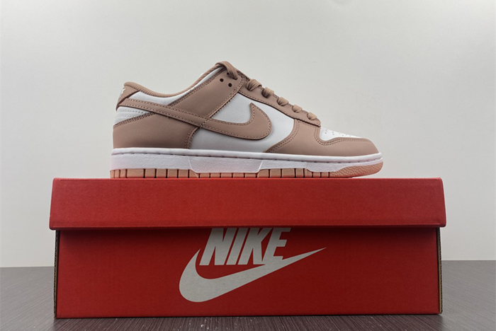 Dunk Low Retro  DD1503-118