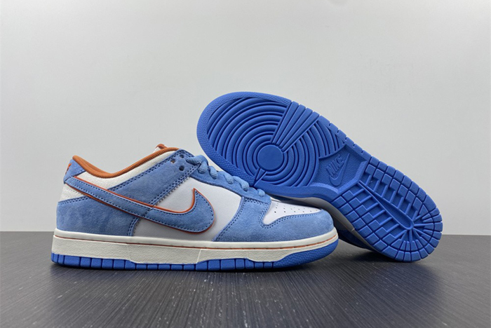 Nike  dunk Low LF0039-009