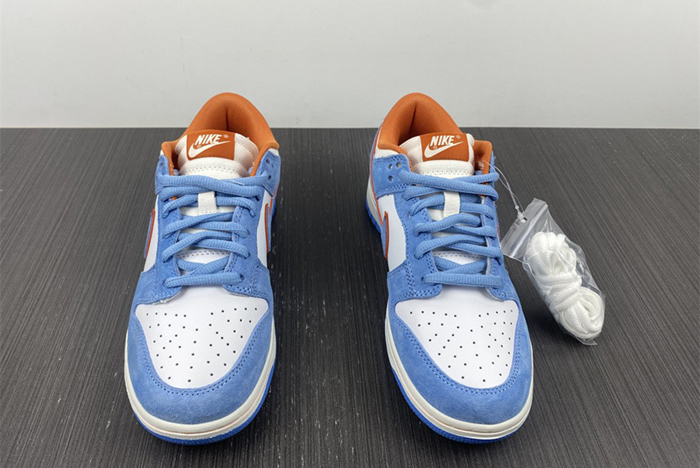 Nike  dunk Low LF0039-009