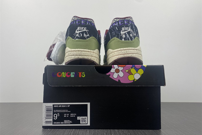 Nike Air Max1 DN1803-300