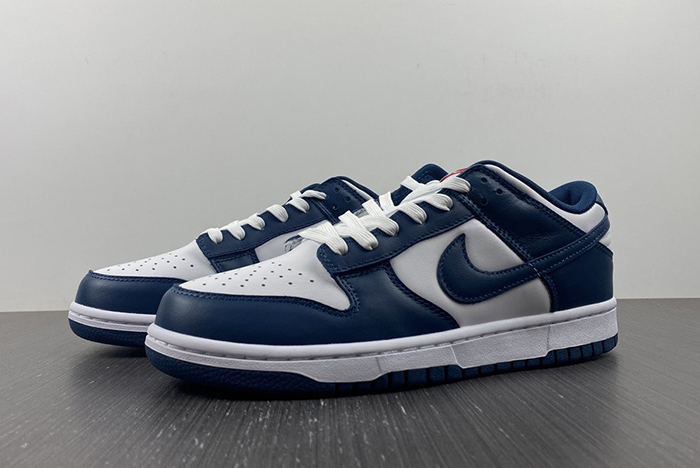 Nike dunk SB Low Retro Valerian Blue  DD1391-400