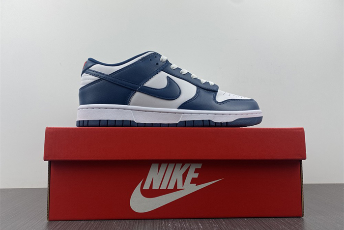 Nike dunk SB Low Retro Valerian Blue  DD1391-400