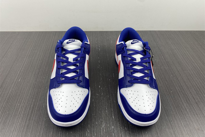 Nike Dunk Low  DD1503-119