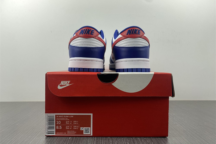 Nike Dunk Low  DD1503-119