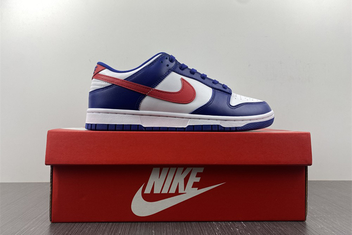 Nike Dunk Low  DD1503-119