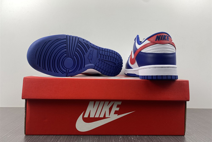 Nike Dunk Low  DD1503-119
