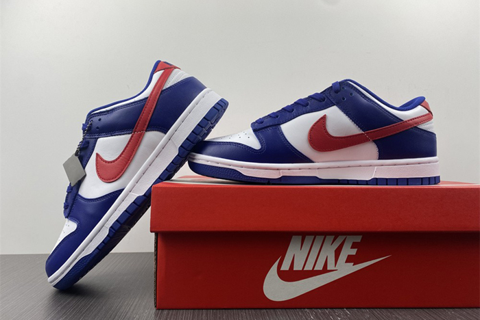 Nike Dunk Low  DD1503-119