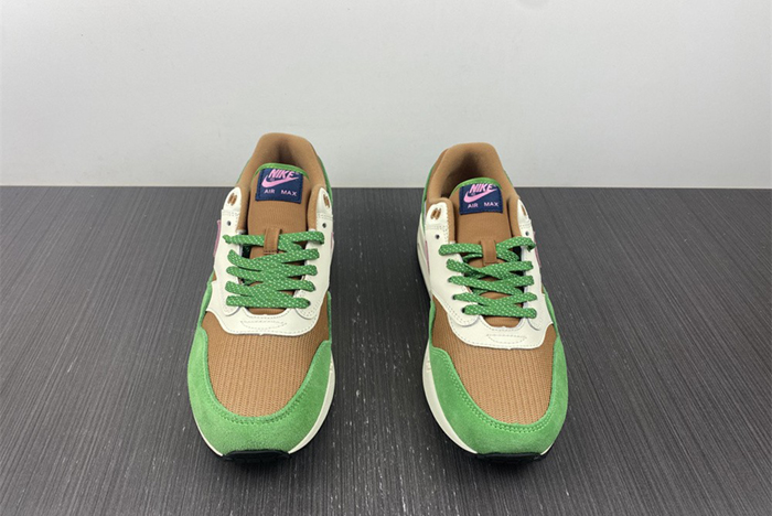 Nike Air Max 1 NH “Treeline” DR9773-300