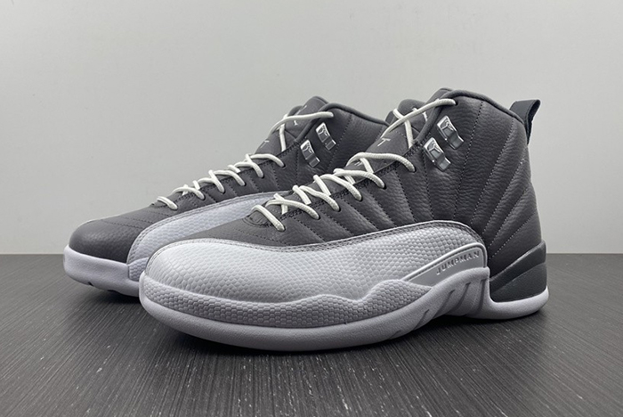 Air Jordan 12 STEALTH  CT8025-610
