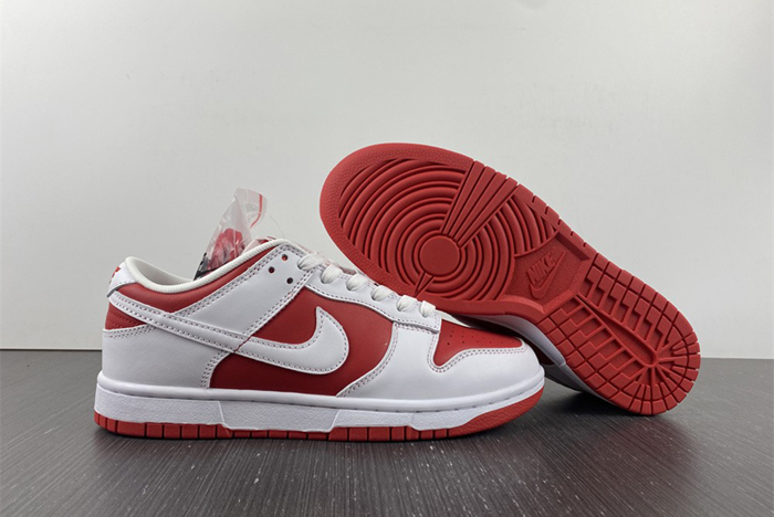 NIKE DUNK LOW RETRO  DD1391-600