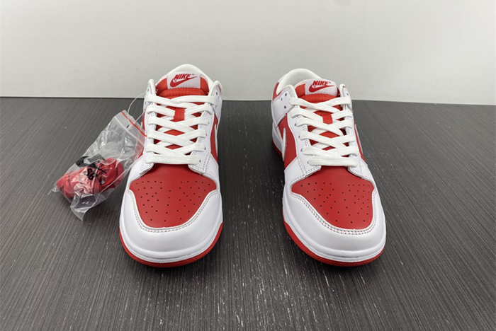 NIKE DUNK LOW RETRO  DD1391-600