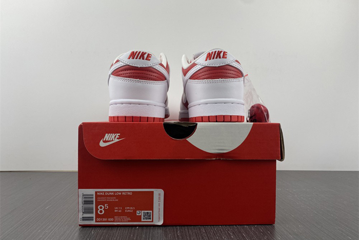 NIKE DUNK LOW RETRO  DD1391-600
