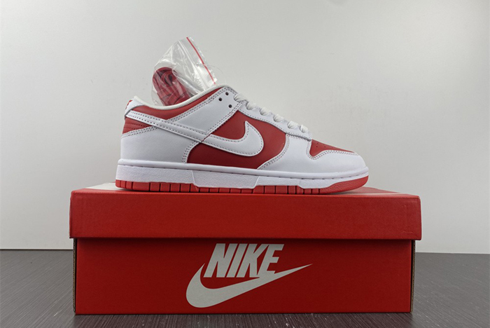 NIKE DUNK LOW RETRO  DD1391-600