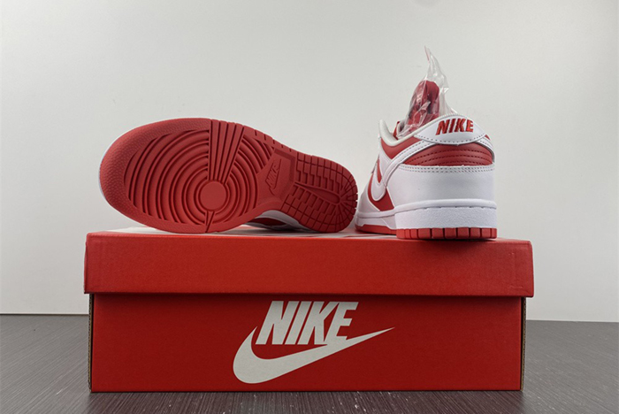 NIKE DUNK LOW RETRO  DD1391-600