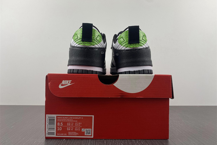 Nike Dunk Low Disrupt 2   DV1490-161
