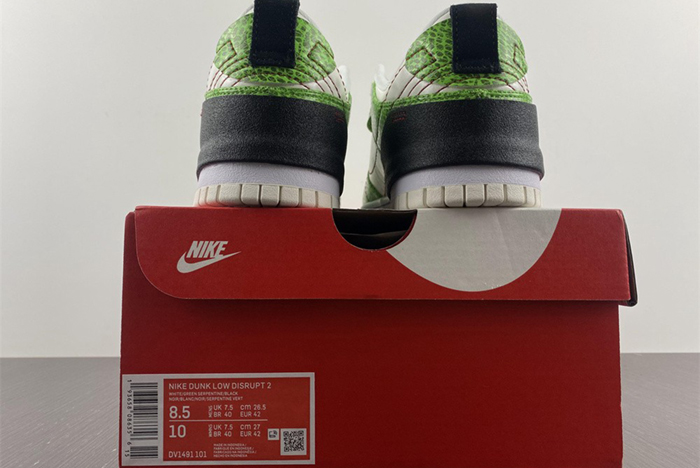 Nike Dunk Low Disrupt  DV1491-101