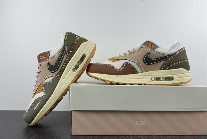 NIKE AIR MAX 1 PRM WABI-SABI DQ8656-133